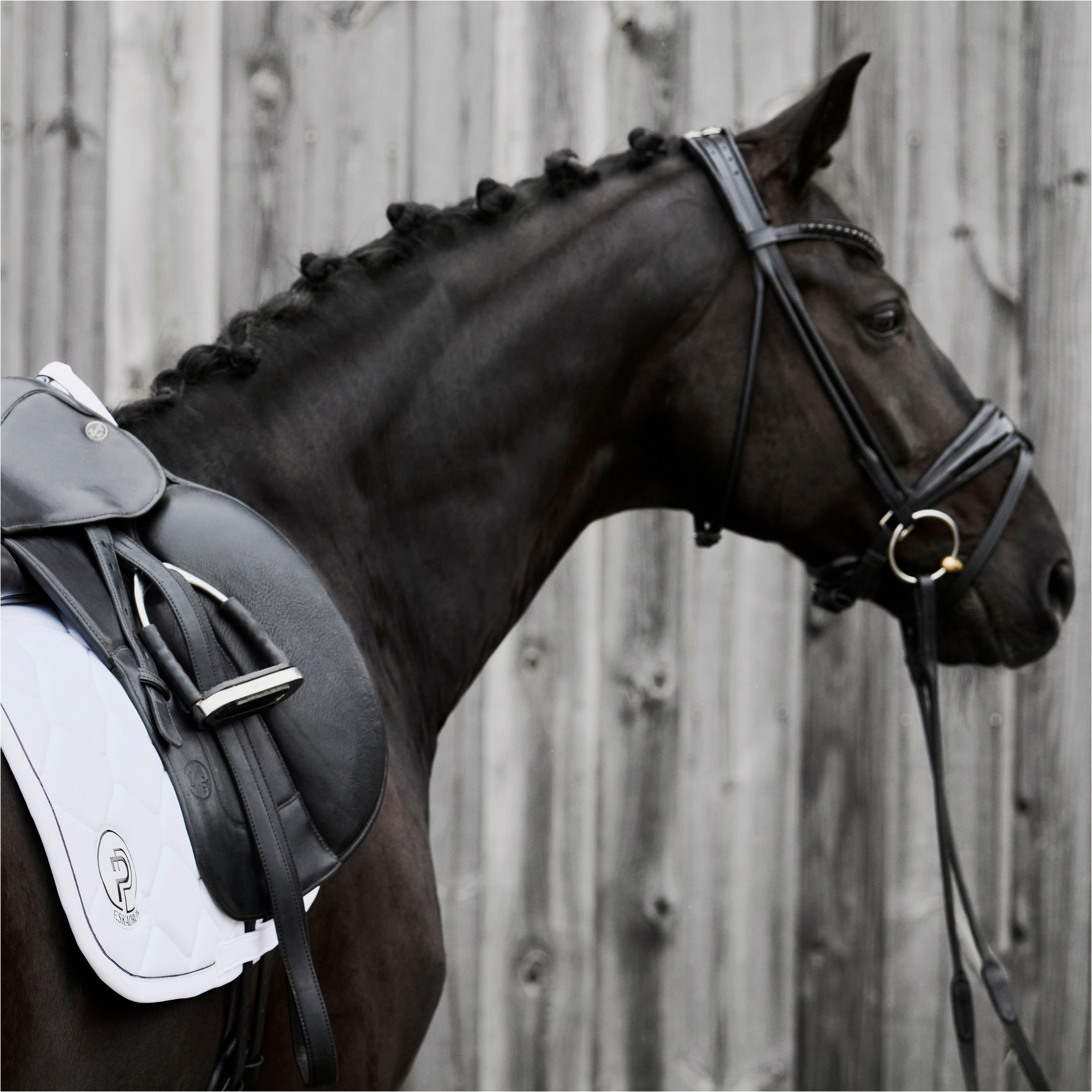 Eskadron Softshell Emblem Saddle Cloth 215340 526 - White